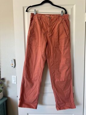Pilcro the roamer cargo pants in Rusty Coral